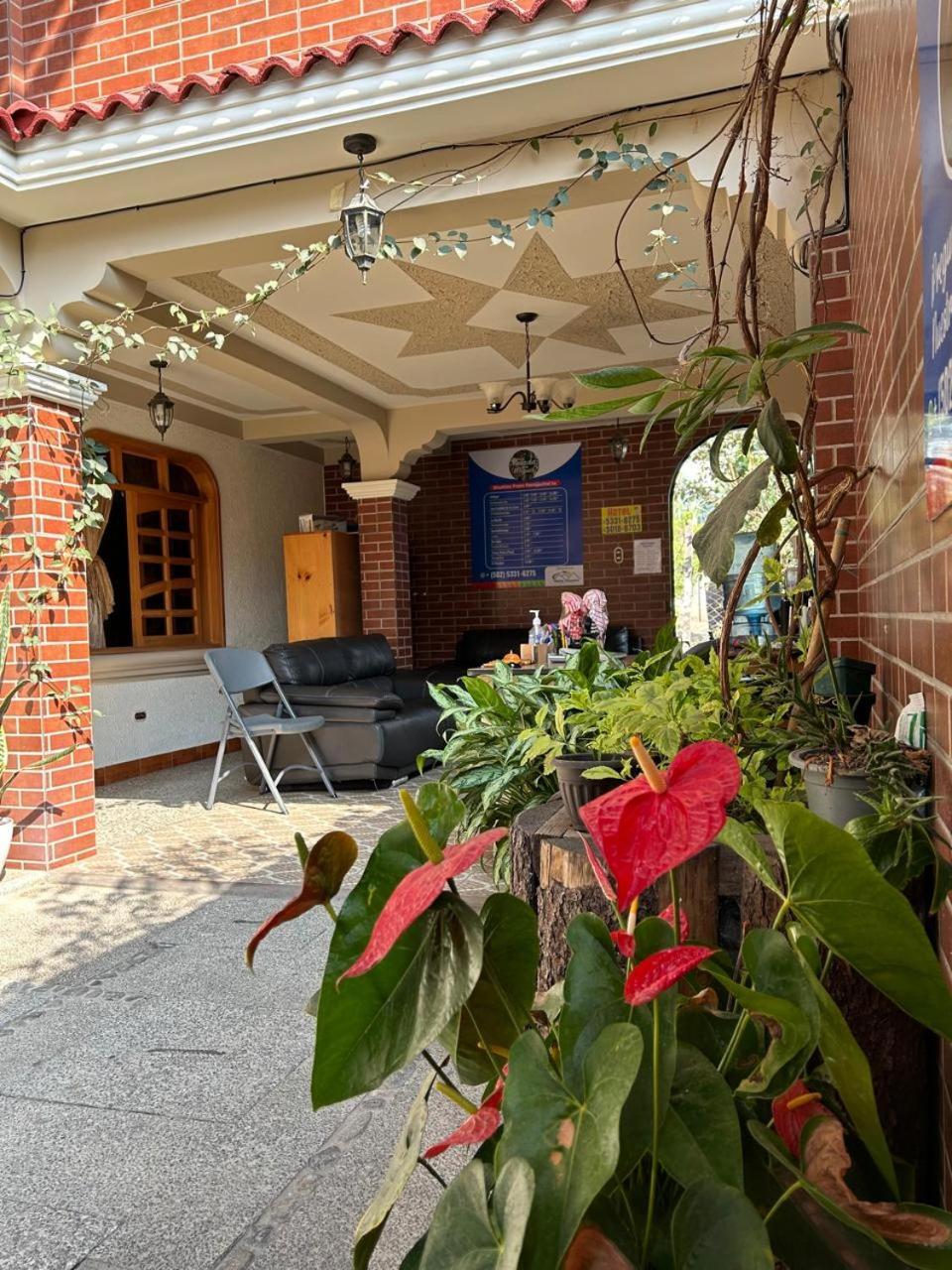 Posada Don Miguel ปานาคาเชล ภายนอก รูปภาพ